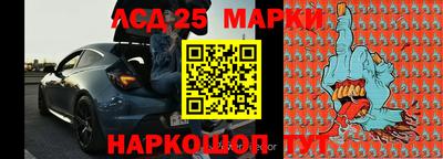 гидропоника Будённовск