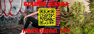 гидропоника Будённовск