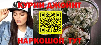 гидропоника Будённовск