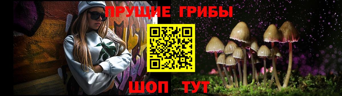 Псилоцибиновые грибы GOLDEN TEACHER  Псилоцибиновые грибы мухоморы  Асбест  Вход с VPN 